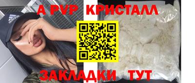 прущие грибы Новозыбков