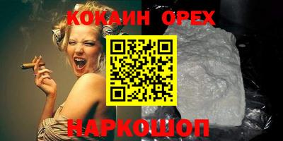 прущие грибы Новозыбков