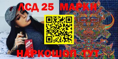 spice Новодвинск