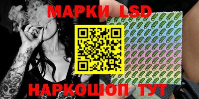 spice Новодвинск