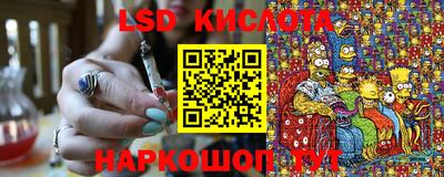 прущие грибы Новозыбков