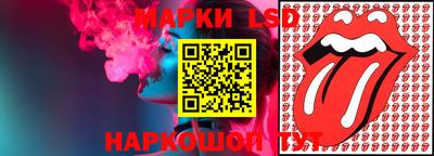 прущие грибы Новозыбков