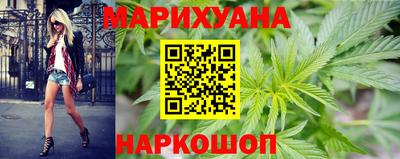 spice Новодвинск