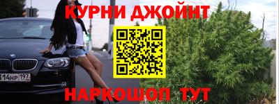 spice Новодвинск