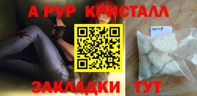 прущие грибы Новозыбков