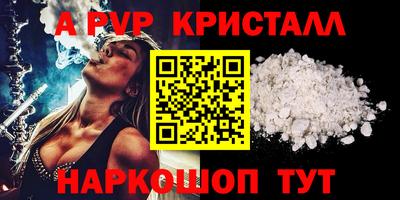 прущие грибы Новозыбков